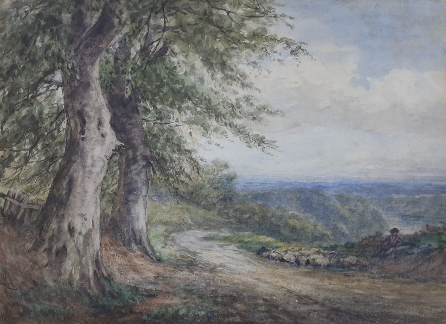 William Henry Vernon (1820-1909), watercolour, Shepherd and flock beside a lane, signed, 27 x 38cm